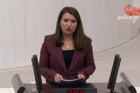 chp-milletvekili-gokce-gokcenden-hayvan-haklari-yasasina-sert-elestiriler-Hl8kRfPZ.jpg