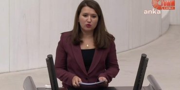 chp-milletvekili-gokce-gokcenden-hayvan-haklari-yasasina-sert-elestiriler-Hl8kRfPZ.jpg