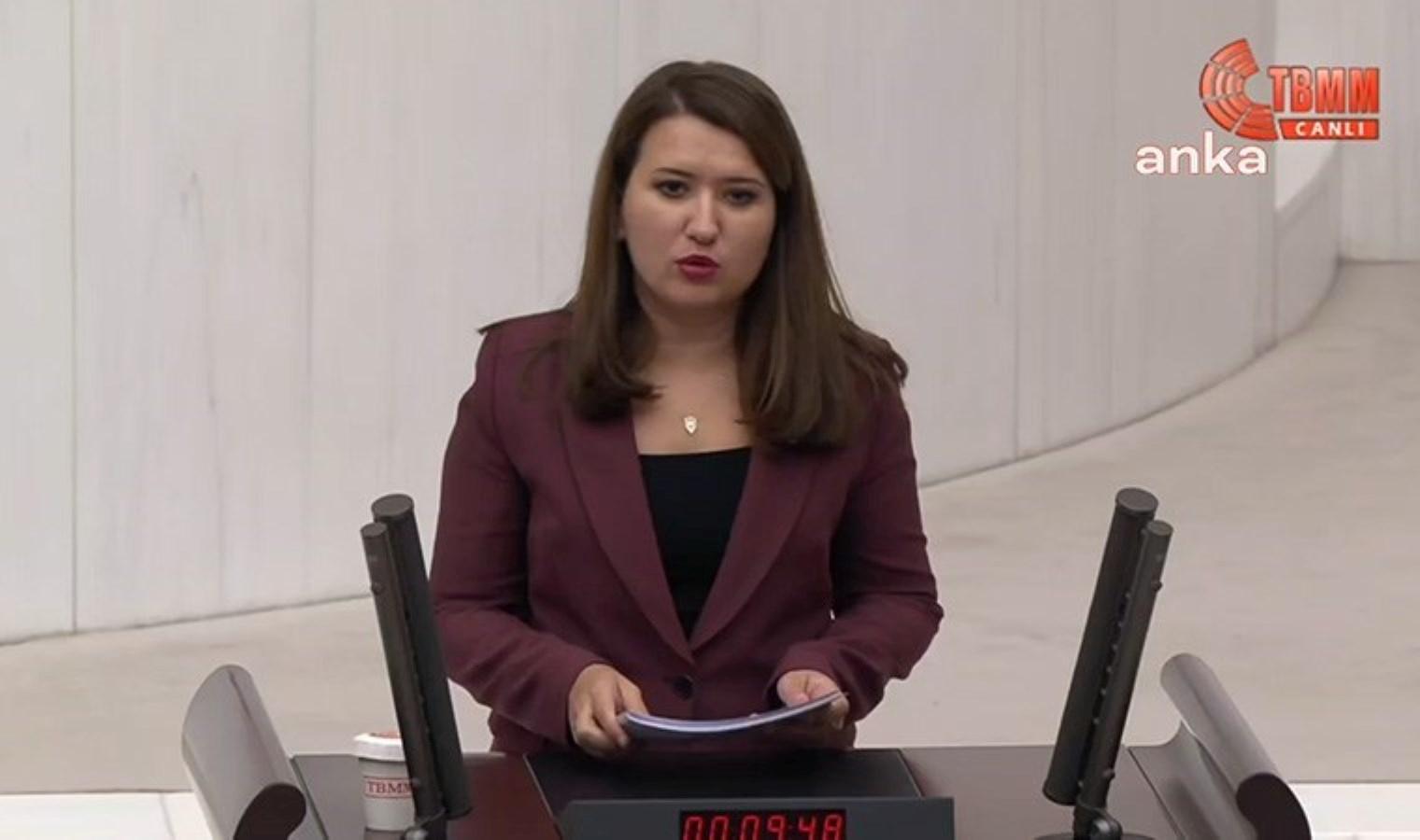 chp-milletvekili-gokce-gokcenden-hayvan-haklari-yasasina-sert-elestiriler-Hl8kRfPZ.jpg