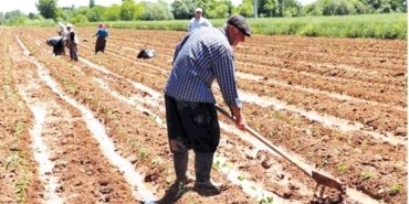 findik-ureticileri-fiyat-beklentilerini-dile-getiriyor-mPsrGeab.jpg