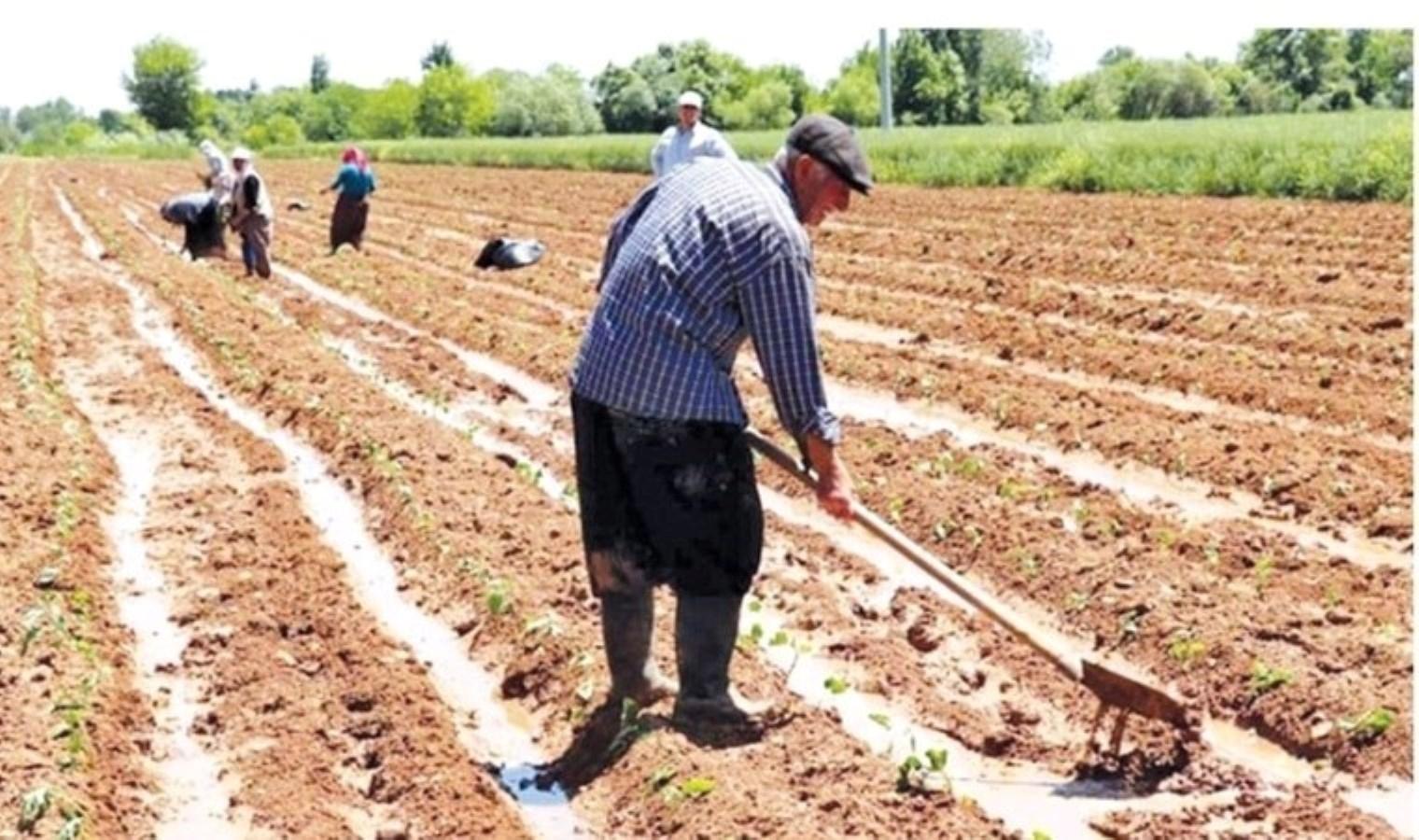 findik-ureticileri-fiyat-beklentilerini-dile-getiriyor-mPsrGeab.jpg