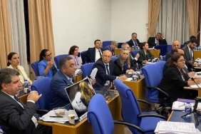 hayvanlari-koruma-kanununda-degisiklik-teklifi-gorusuldu-r5HQBy3F.jpg