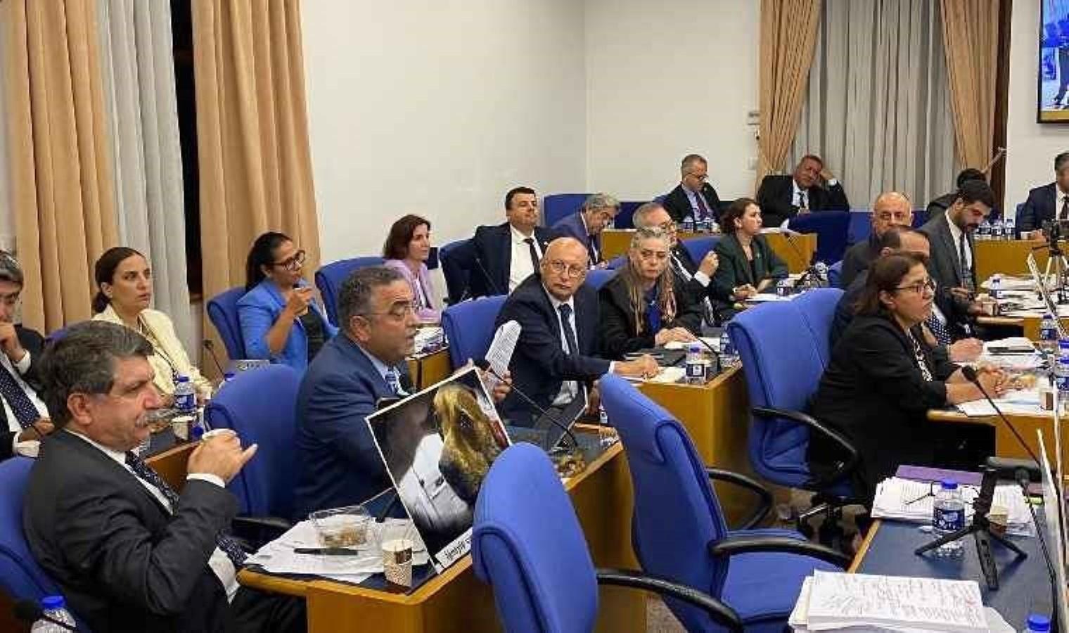 hayvanlari-koruma-kanununda-degisiklik-teklifi-gorusuldu-r5HQBy3F.jpg