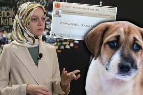 hayvanlari-koruma-kanununda-tartismali-degisiklik-ve-sosyal-medya-tepkileri-xUxpWQsG.jpg