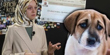 hayvanlari-koruma-kanununda-tartismali-degisiklik-ve-sosyal-medya-tepkileri-xUxpWQsG.jpg
