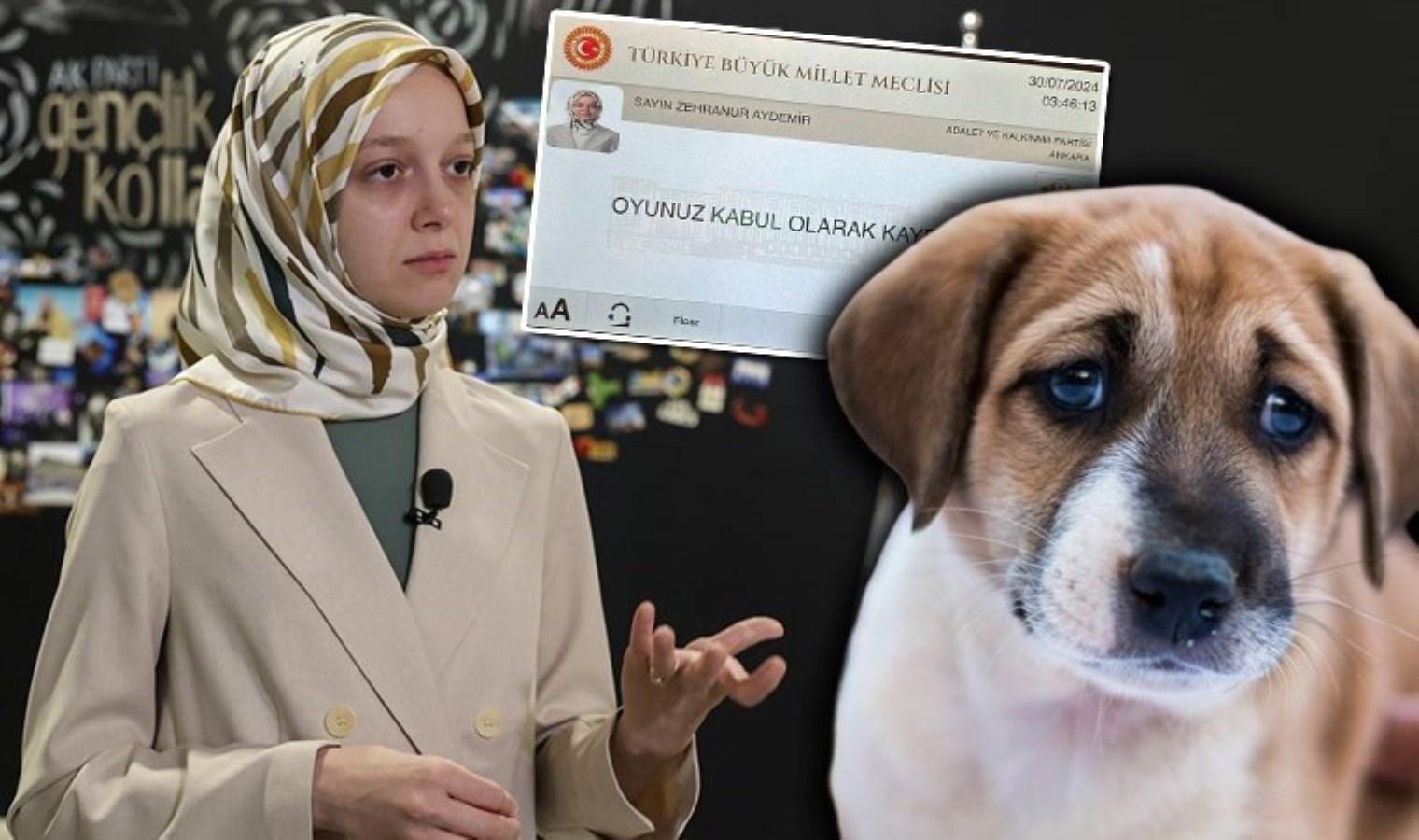 hayvanlari-koruma-kanununda-tartismali-degisiklik-ve-sosyal-medya-tepkileri-xUxpWQsG.jpg