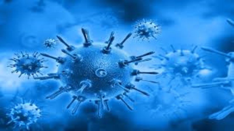 Hepatit A Virüsü Nedir?