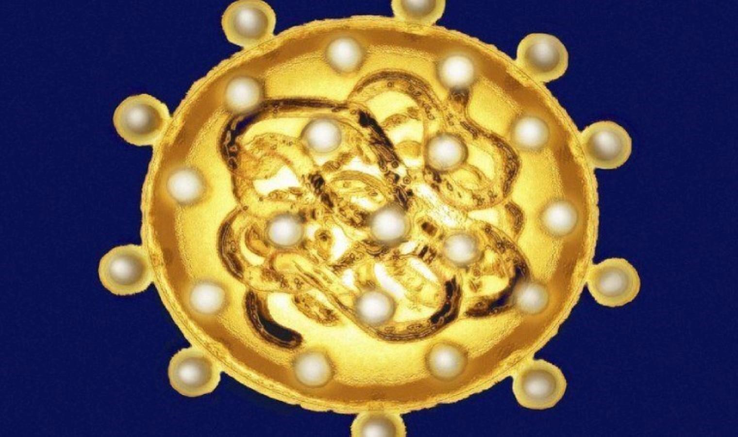 hepatit-hakkinda-bilinmesi-gerekenler-ve-korunma-yontemleri-eZQpUwT1.jpg