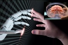 organik-robotlar-insan-beyni-ve-yapay-zekanin-bulusmasi-WwKlWZWK.jpg