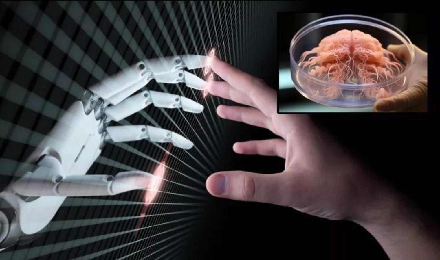 organik-robotlar-insan-beyni-ve-yapay-zekanin-bulusmasi-WwKlWZWK.jpg