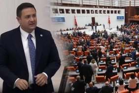 sokak-hayvanlari-icin-tbmmde-yapilan-kanun-teklifinin-gorusmeleri-YHGi9dTi.jpg