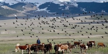 tarim-ve-orman-il-mudurlugu-calismalari-ve-gelecek-planlari-VvZGMlWL.jpg