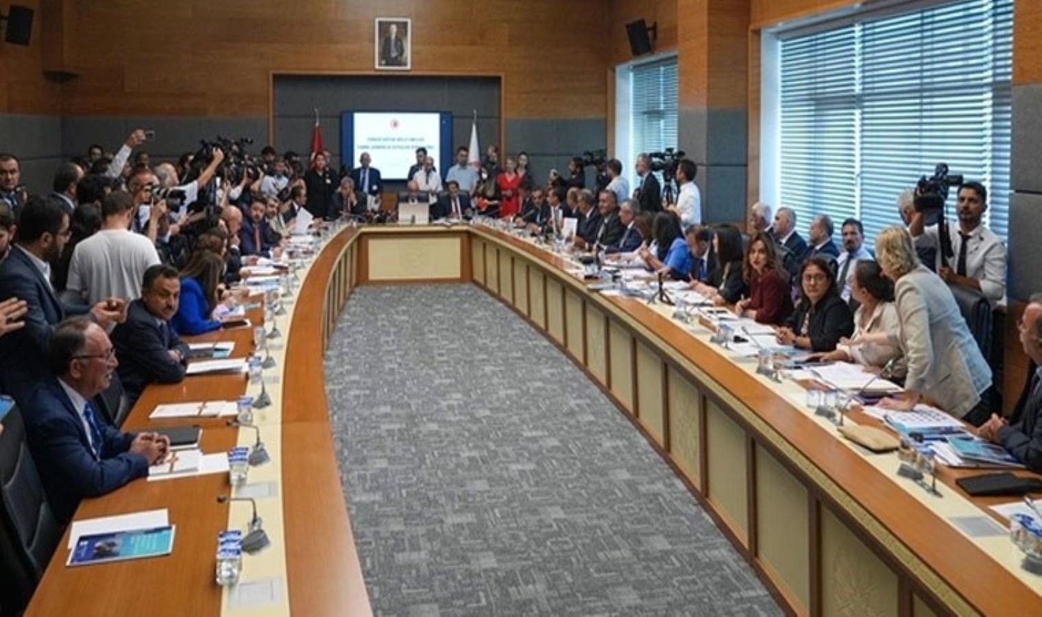 tbmmde-sokak-hayvanlari-icin-otanazi-yasagi-gorusuluyor-DLCQD3Ls.jpg