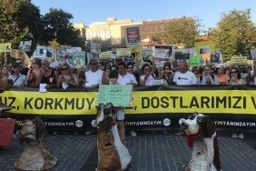 yenilik-partisinden-katliam-yasasina-sert-tepki-Gt1Nfhju.jpg