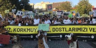 yenilik-partisinden-katliam-yasasina-sert-tepki-Gt1Nfhju.jpg