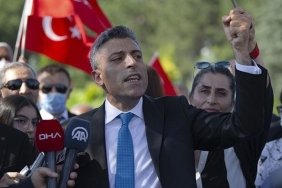 yenilik-partisinden-sokak-hayvanlari-yasasi-aciklamasi-9OLGNlCE.jpg