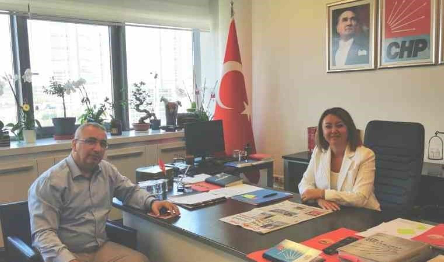 chp-genel-baskan-yardimcisi-gul-ciftcinin-yeni-tuzuk-calismalari-uzerine-degerlendirmeleri-TdyfnPYr.jpg