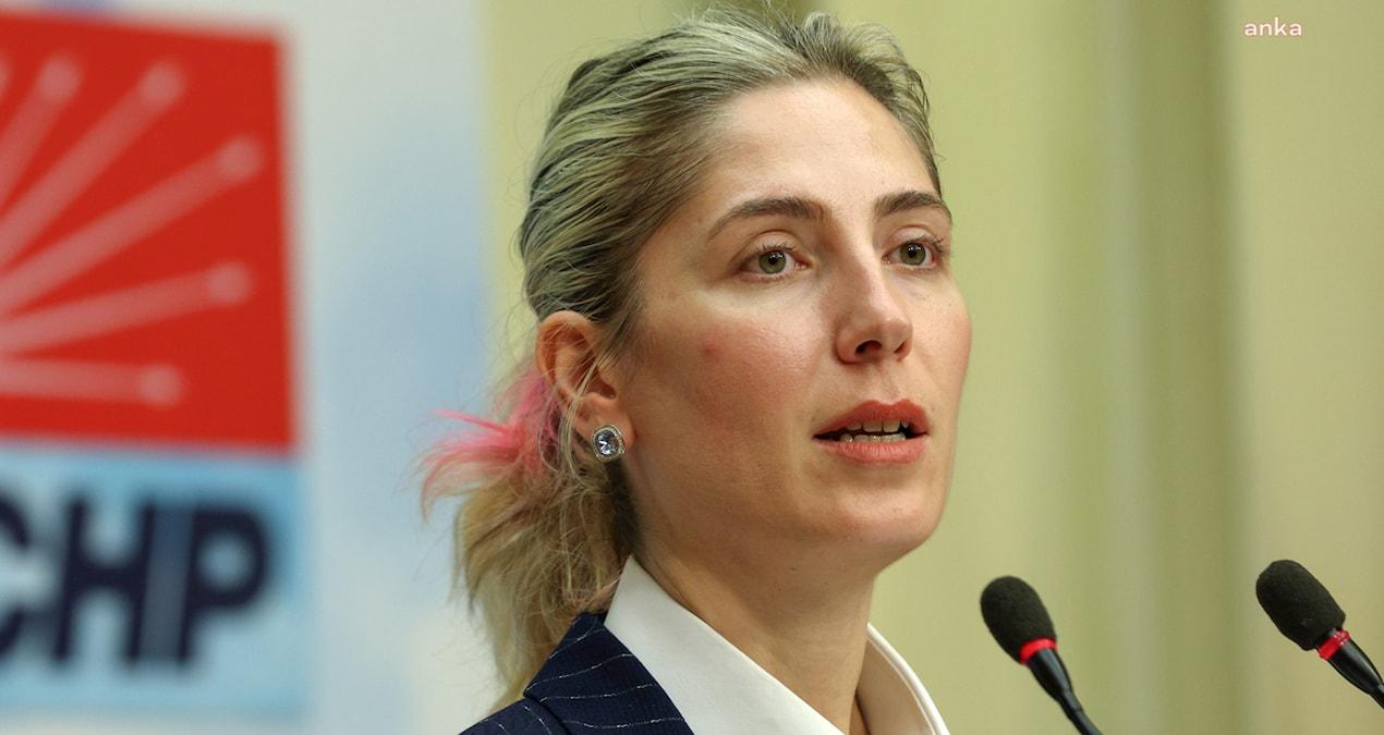 chp-genel-baskan-yardimcisi-gulsah-deniz-atalardan-sanatci-alimindaki-usulsuzluk-iddialari-aciklamasi-mAuWcxVk.jpg