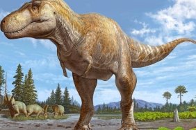 dinozorlarin-izleri-pangeanin-ayrilmasindan-120-milyon-yil-sonra-AQsMaVg5.jpg