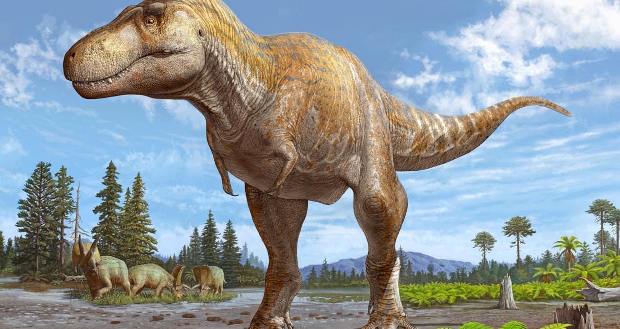 dinozorlarin-izleri-pangeanin-ayrilmasindan-120-milyon-yil-sonra-AQsMaVg5.jpg