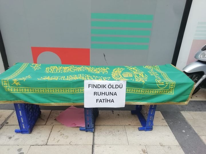 Fındık Üzerindeki Kahverengi Kokarca Tehdidi Devam Ediyor