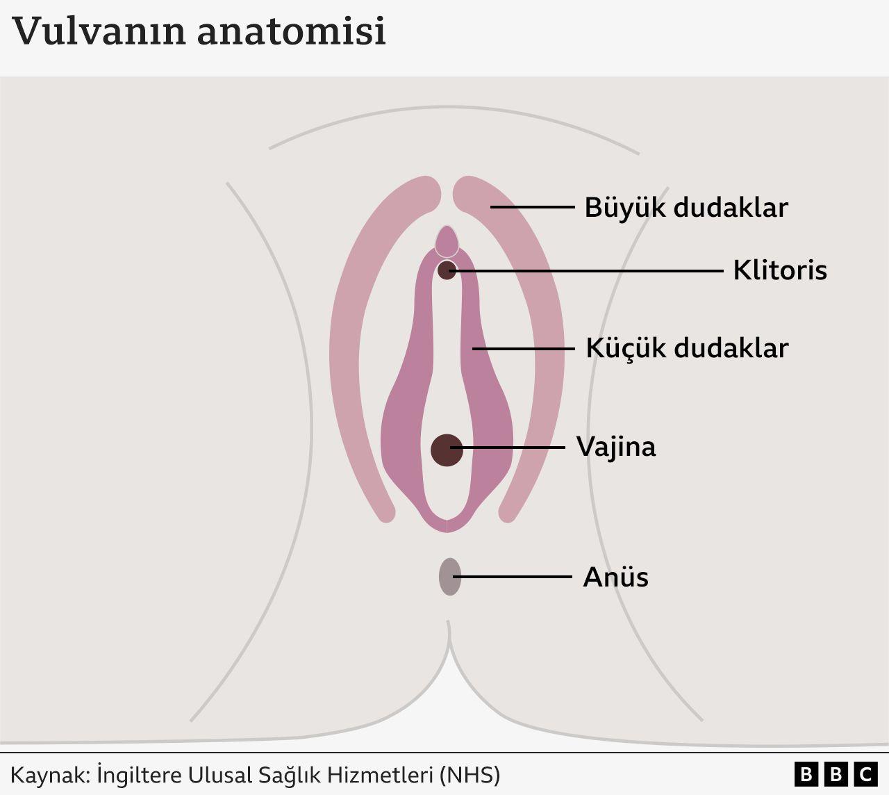 Estetik Ameliyata İlgi Arttı