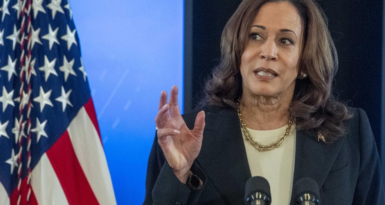 kamala-harrisin-ekonomi-politikalari-ve-hedefleri-FLp6FmEx.jpg