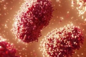 maymun-cicegi-mpox-vaka-artisi-ve-onlemler-djOS4OIB.jpg