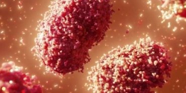 maymun-cicegi-mpox-vaka-artisi-ve-onlemler-djOS4OIB.jpg