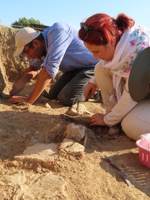 Şapinuva: Hititlerin Gizemli Şehri ve Arkeolojik Kazıları