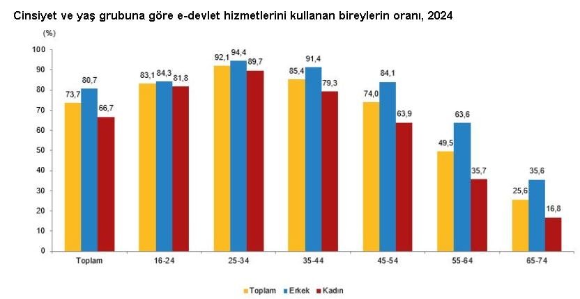 Türkiye'de İnternet Kullanımı ve E-Devlet Hizmetleri