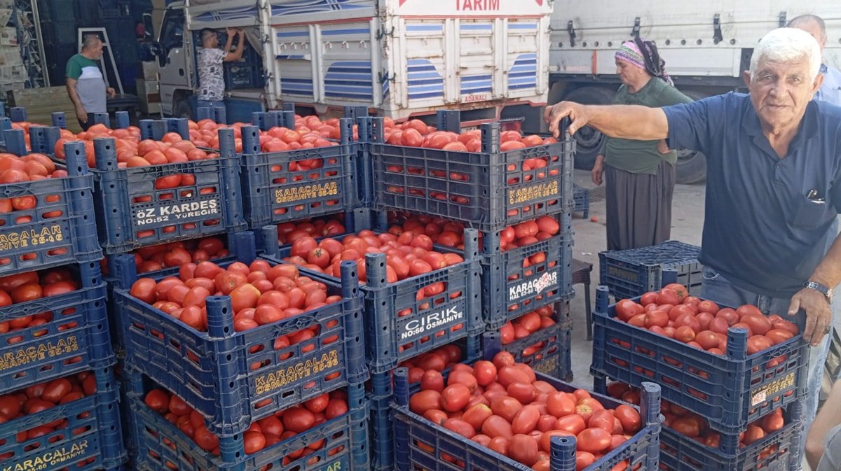Türkiye'nin Tarım Sorunları ve Çiftçilerin Mücadeleleri
