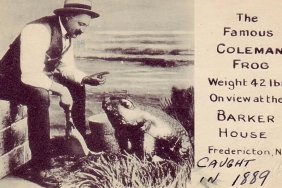 19-kiloluk-dev-kurbaga-efsane-mi-gercek-mi-sehirlerin-gizemli-sirlari-3t3yzGyK.jpg