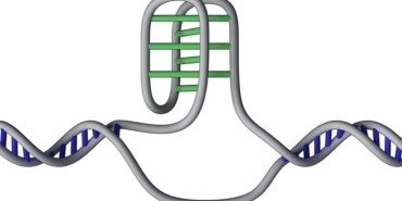 dnamizin-derinliklerindeki-50000-gizemli-dugum-bilim-dunyasini-saskina-ceviren-harita-3fBmaB4h.jpg