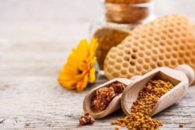 okula-baslayan-ogrenciler-icin-bagisikligi-guclendiren-propolis-onerileri-danKESxF.jpg