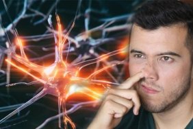 sirtustu-yatmanin-ve-burun-karistirmanin-alzheimer-uzerindeki-beklenmedik-etkileri-EIfdfIAw.jpg