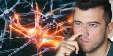 sirtustu-yatmanin-ve-burun-karistirmanin-alzheimer-uzerindeki-beklenmedik-etkileri-EIfdfIAw.jpg