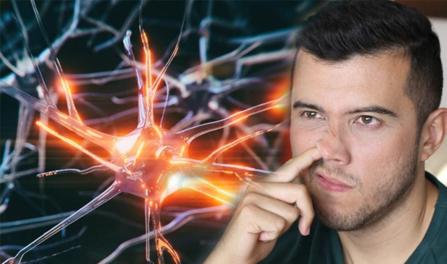 sirtustu-yatmanin-ve-burun-karistirmanin-alzheimer-uzerindeki-beklenmedik-etkileri-EIfdfIAw.jpg