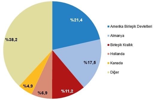 Yurt Dışına Açılan Kapı: Beyin Göçü Yapan Üniversite Mezunlarının Oranı Açıklandı