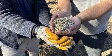 bugdayin-atasi-olan-12-bin-yillik-siyez-bugdayi-kastamonuda-toprakla-bulustu-PCOIgS73.jpg