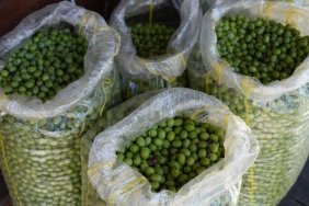 tezgahta-yerini-aldi-kilosu-100-lirayi-buluyor-en-iyi-yesil-zeytin-tarifini-verdi-dVVgtj3q.jpg