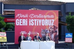 umraniye-belediye-baskani-yildirim-yasa-disi-yollarla-barinagimizdan-151-kopek-ve-144-kedi-calindi-mEDb9OQf.jpg