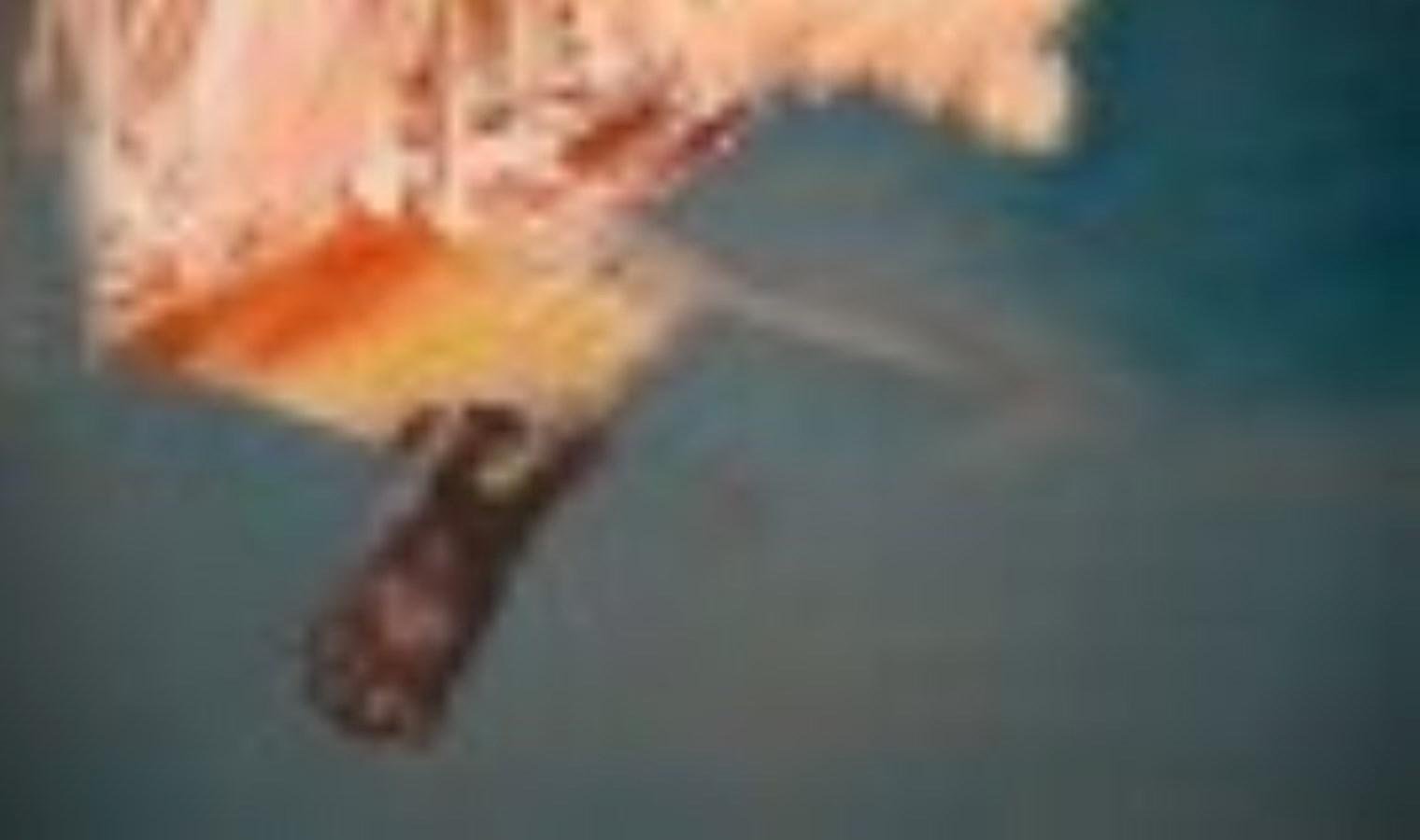 hayvan-katliamlarinin-golgesinde-bir-sokak-kedisi-sergisi-sanatseverlerle-bulusuyor-Eapyqe5K.jpg