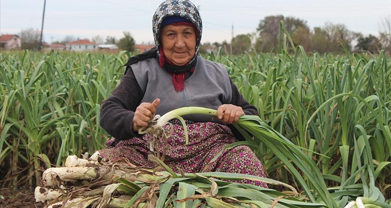 pirasanin-fiyati-bir-yilda-iki-katina-cikti-tuketiciler-ne-yapmali-44P3IQty.jpg