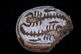 12-yasindaki-kucuk-kizin-hayal-gucunden-dogan-buyuk-kesfi-i7AqayYl.jpg
