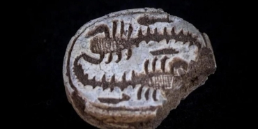 12-yasindaki-kucuk-kizin-hayal-gucunden-dogan-buyuk-kesfi-i7AqayYl.jpg