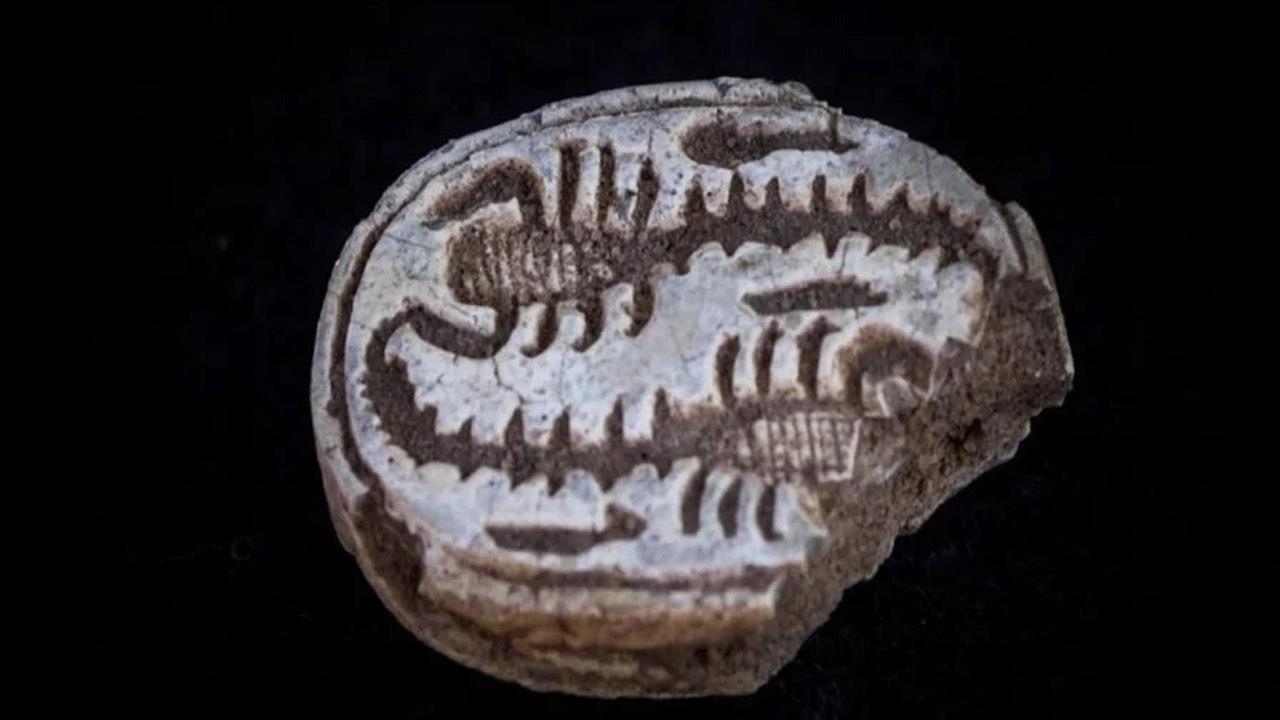 12-yasindaki-kucuk-kizin-hayal-gucunden-dogan-buyuk-kesfi-i7AqayYl.jpg