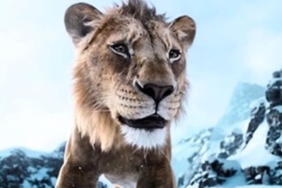 aslan-kralin-30-yasinda-dusunceler-ve-derinlikler-6KubzPWO.jpg