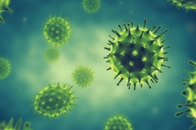 avustralyadaki-gizemli-virus-kaybi-olumcul-virusler-nereye-gitti-Iurks5dK.jpg