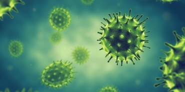 avustralyadaki-gizemli-virus-kaybi-olumcul-virusler-nereye-gitti-Iurks5dK.jpg